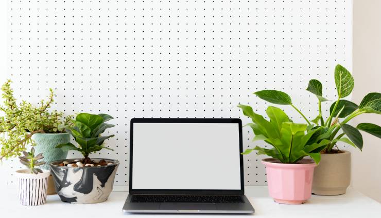 گل‌وگیاه ،۹ اثر مثبت وجود گل‌وگیاه در محیط کار ،تأثیرات هم‌زیستی با طبیعت در محل کار ، به حداقل رساندن صداهای مزاحم