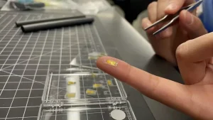 حسگر پایش سلامت عضو پیوندی