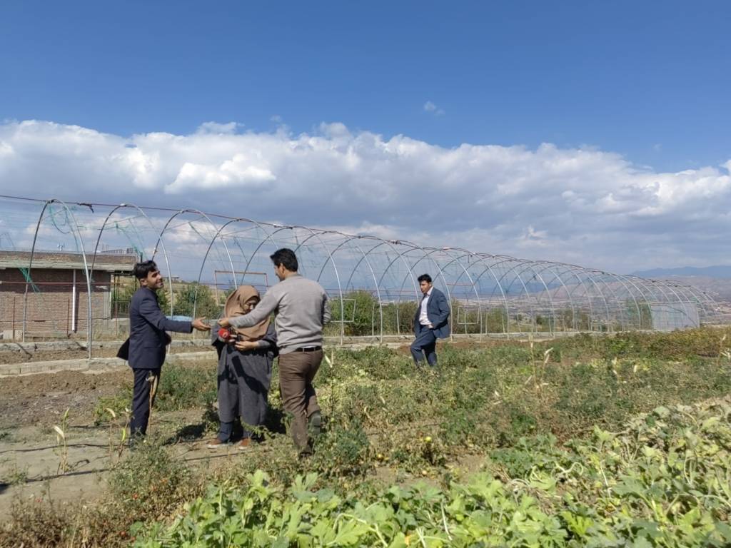 کولبران بارهایشان را زمین گذاشتند