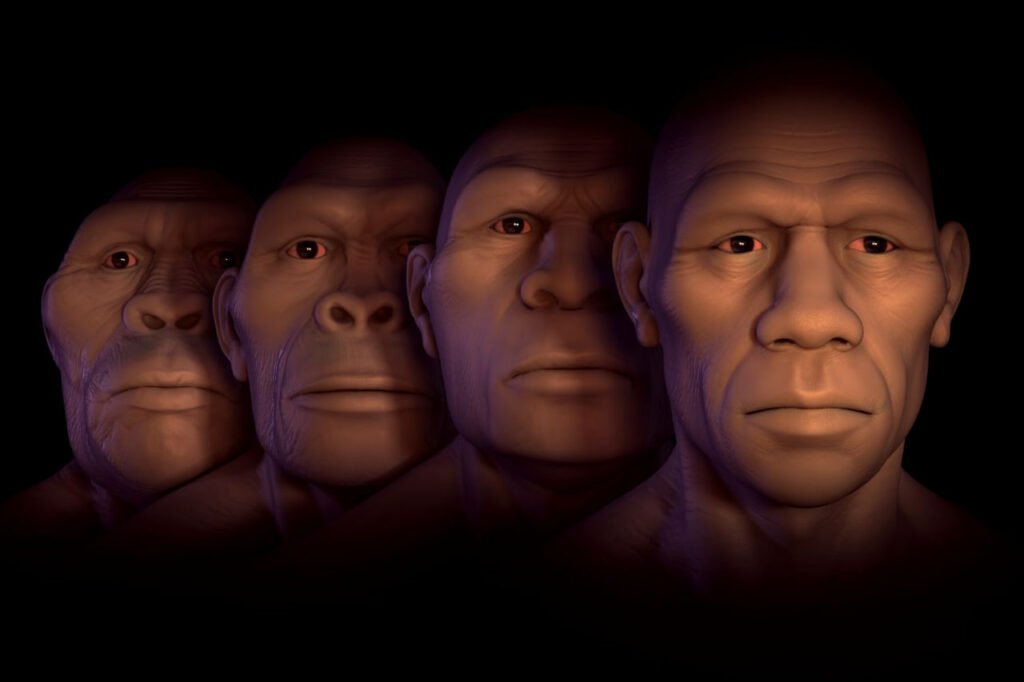 رد یک ادعای دیرینه؛ زنان ماقبل تاریخ نیز همانند مردان شکارچی بودهاند 4 1697990416 509 رد یک ادعای دیرینه؛ زنان ماقبل تاریخ نیز همانند مردان