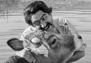 از یک دقیقه سکوت برای داریوش مهرجویی تا پیشنهاد نمایش فیلم «گاو»