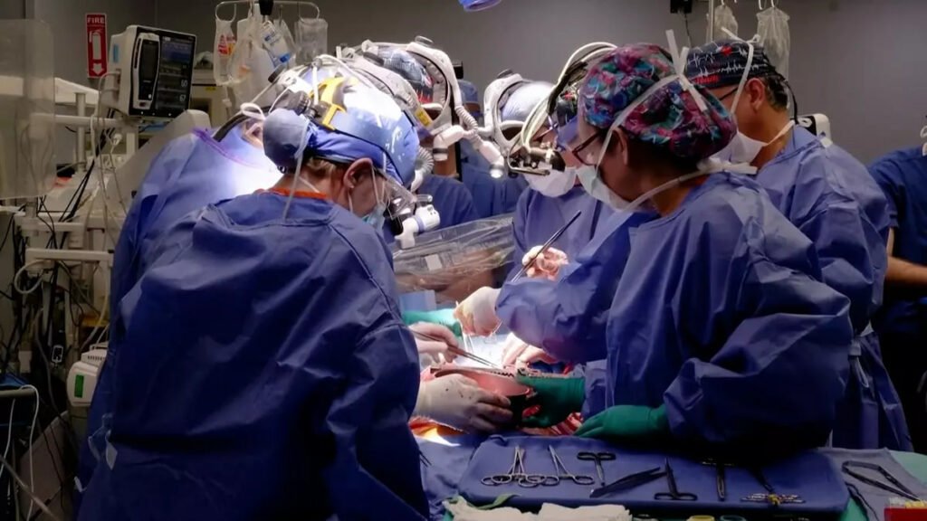 1698885620 742 دومین بیمار دریافت‌کننده قلب خوک به‌دلیل نارسایی قلبی درگذشت