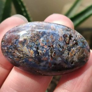 شجر عقیق بنفش1