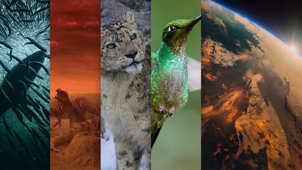 ۱۰ مستند که نگاه شما به جهان را تحول خواهد داد 41 Our Planet