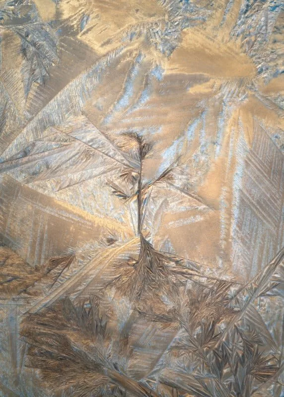 1705082010 800 برندگان مسابقه عکاسی کلوزآپ سال 2023 اظهار شدند عکس.webp