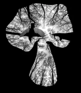 برندگان مسابقه عکاسی کلوزآپ سال 2023 اعلام شدند + عکس