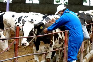 تاسیس مرکز تحقیقات بیماری‌های منتقله از دام و فراورده‌های دامی سازمان دامپزشکی