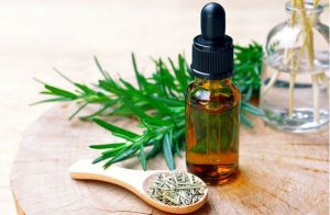 صادرات ۸ میلیون دلاری انواع فرآورده‌های گیاهان دارویی/اجرای کامل سند ملی گیاهان دارویی