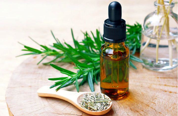 صادرات ۸ میلیون دلاری انواع فرآورده‌های گیاهان دارویی/اجرای کامل سند ملی گیاهان دارویی