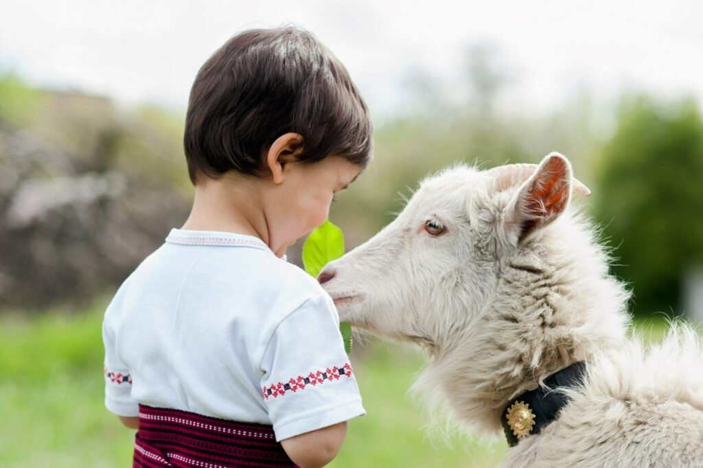بزها می‌توانند شاد یا عصبی‌بودن انسان‌ را از طریق صدای فرد تشخیص دهند