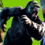 ۱۲ فیلم تماشایی با چاشنی ماجراجویی در جنگل