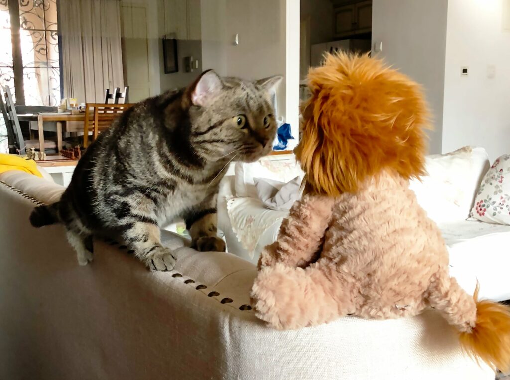 1715435095 502 تصاویر برتر مسابقه عکاسی کمدی از حیوانات خانگی 2024 اشکار