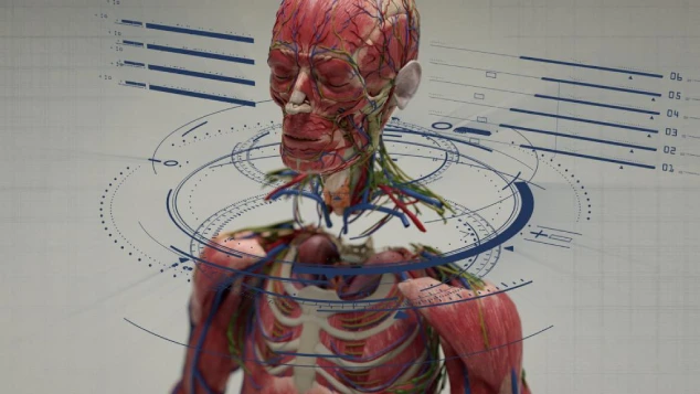 1716785716 920 تصاویر شگفت از جراحی پیوند سر با منفعت گیری از.webp