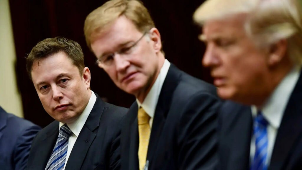 ایلان ماسک ادعاهای مربوط به دریافت سمت مشاور کاخ سفید را رد کرد