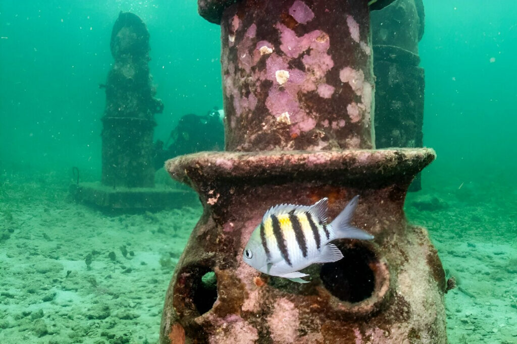 1717784975 836 ساخت یک گالری از مجسمه در دریای کارائیب برای حمایتاز