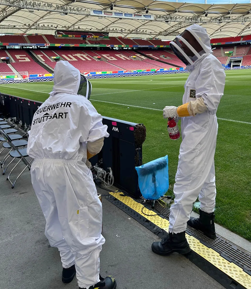 6050648 عکس| بمب در استادیوم یورو 2024!