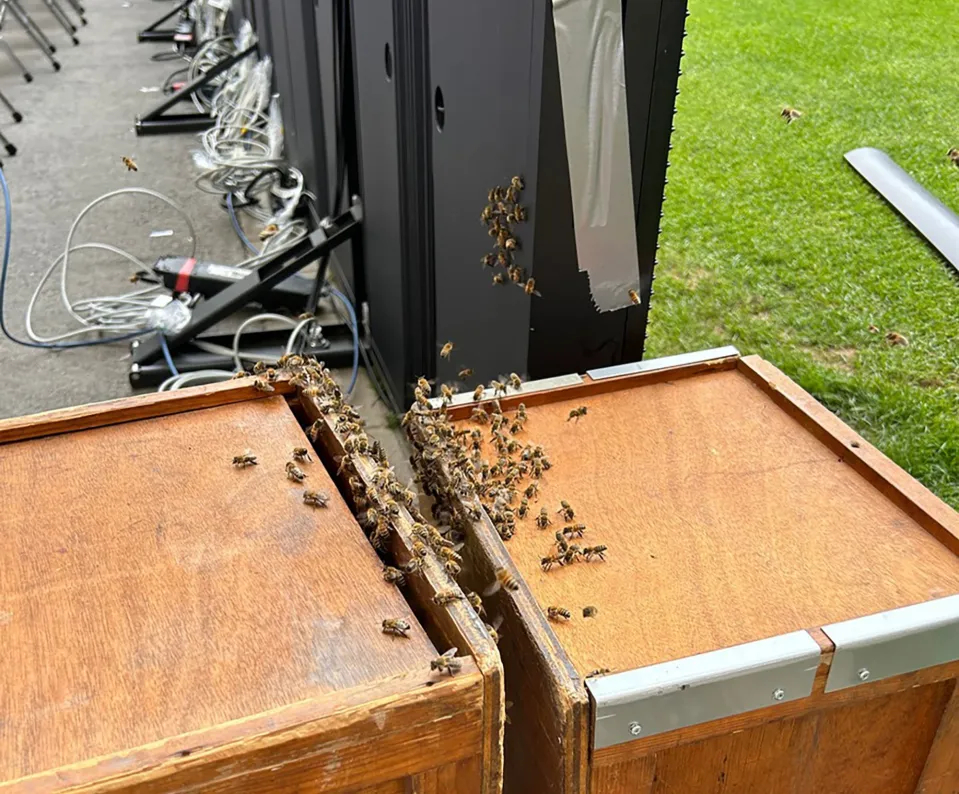 6050649 عکس| بمب در استادیوم یورو 2024!