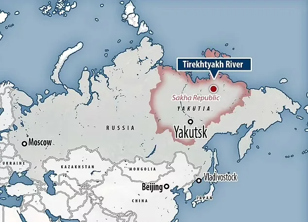 کشف بقایای سالم یک گرگ باستانی متعلق به 44 هزار سال پیش در سیبری + ویدیو