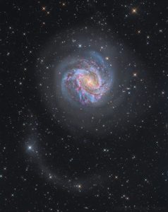 M83