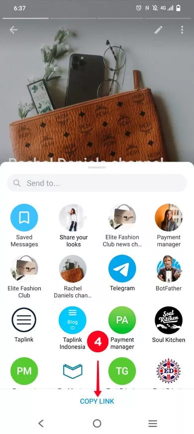 لینک تلگرام کجاست؟ | نحوه گذاشتن لینک تلگرام در اینستاگرام_دانشجو 25 کپی کردن لینک کانال تلگرام