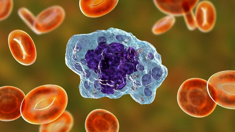 سلول ماکروفاژ