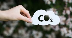 گوگل وارد میدان حذف کربن با قیمت 100 دلار برای هر تن می‌شود