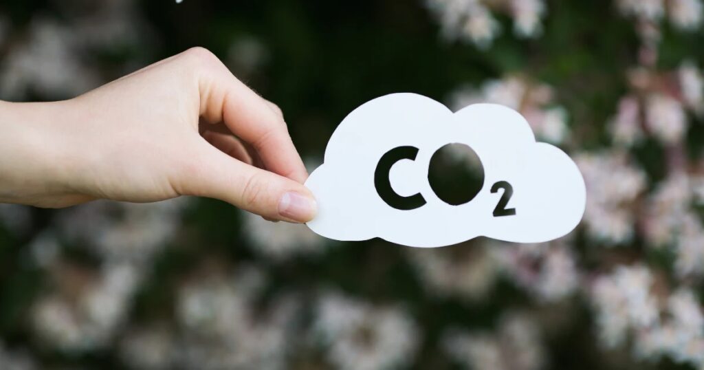 گوگل وارد میدان حذف کربن با قیمت 100 دلار برای هر تن می‌شود