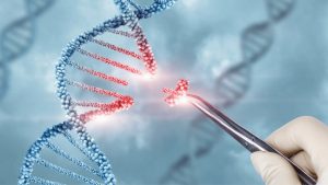 بهبود اختلالات خودایمنی با پیوند سلولی