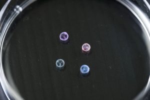 این ربات‌های حمل دارو تنها به‌اندازه یک دانه برنج هستند.