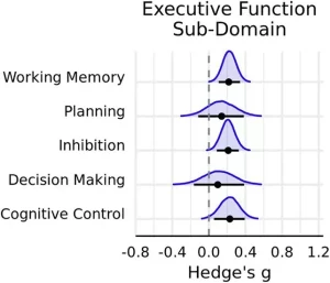 تأثیر ورزش و مغز