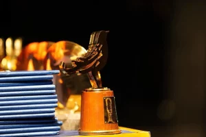 برگزیدگان جشنواره موسیقی فجر معرفی شدند +فیلم